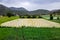 Hay cut in field lies in rows and dries. livestock feed hay