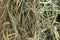 Hay, dried grass close up. Natural background