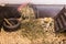 Hay and dried grass for rabbit in pet cage and dry food for rodents - pet feed with copy space