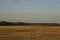 Hay on the endless yellow field