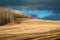 Hay Field, Aspen Forest and a Hole in the Sky