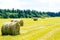 Hay field in cattle rolls. Rural nature on a farm. Straw in the meadow. Countryside natural landscape.