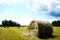 Hay field in cattle rolls. Rural nature on a farm. Straw in the meadow. Countryside natural landscape.