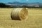 Hay field New Zealand