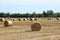 Hay on the field, twisted in large rolls prepared for the winter