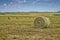 Hay field, Wyoming