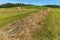 Hay harvest on a freshly mown meadow in Czech Republic. Drying grass. Cattle feed. Mowed meadow