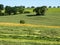 Hay harvest meadow mown grass agriculture farm