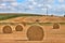 Hay harvest time