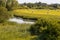 Hay harvest in UNESCO biosphere reserve river landscape Elbe, Boizenburg