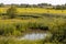 Hay harvest in UNESCO biosphere reserve river landscape Elbe, Boizenburg