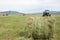 Hay harvesting