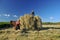 Hay making