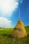 Hay making in old good fashioned way