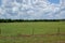 A Hay Meadow That Has Been Baled