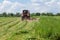 Hay mowing with tractor mounted rotary mower on a hayfield