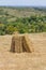 Hay piles in Santiago do Cacem