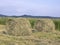 Hay pressing in rolls on a meadow