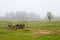 Hay rake in field in fog