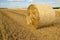 Hay in a roll on the field among the mowed grass