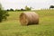 Hay Roll in Grass Field