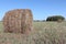 Hay roll lying on a sloping field in the fall