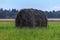 The hay roll stands uncollected in a green meadow