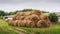 Hay rolls on agricultural farm, Countryside natural landscape. Grain crop and harvesting