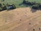 Hay rolls on farmland meadow near pond, aerial view