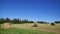 Hay rolls on farmland in Ontario