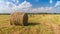 Hay in rolls on the field, against the background of a blue sky with clouds