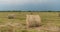 Hay in rolls on the field, against the background of a blue sky with clouds