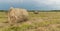 Hay in rolls on the field, against the background of a blue sky with clouds