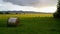 Hay rolls field in sunset 1/2