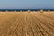 Hay rolls on mown wheat field