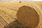 Hay round bale of dried wheat cereal