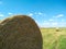 Hay in round bales lies on the field. Hay bale. Blank. Rural life. Grass, circle. Close-up harvested hay against a background of