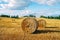 hay in round stacks, field cleaning, agriculture, golden hay