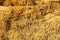 Hay Rural Harvest Dried Golden Straws Nature Background