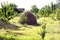 Hay stack on a field nearby a plum trees orchard - Image . Close-up of a single big haystack near green forest in summer season