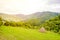 Hay stack on a fresh green pasture