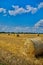 Hay, stacks bales with wheat, field after harvest with hay rolls Agriculture