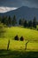 Hay stacks on farmland