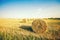 Hay in the stacks on the field