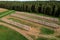 Hay storage in field near farm, aerial view. Haystacks prepared for animal feed in winter. Stacks dry hay open air field storage.