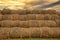 Hay storage in field near farm on sunset. Haystacks prepared for animal feed in winter. Stacks dry hay open air field storage.