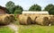 Hay storage with harvested bales of hay for cattle