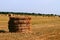 Hay Straw Bale On Agricultural Field, Hay Roll At Autumn Season