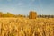 hay and straw mown in the field and baled at sunset, rustic