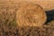 Hay texture golden straws close-up bulgaria sunny orange yellow nature ecology rural sharp focus